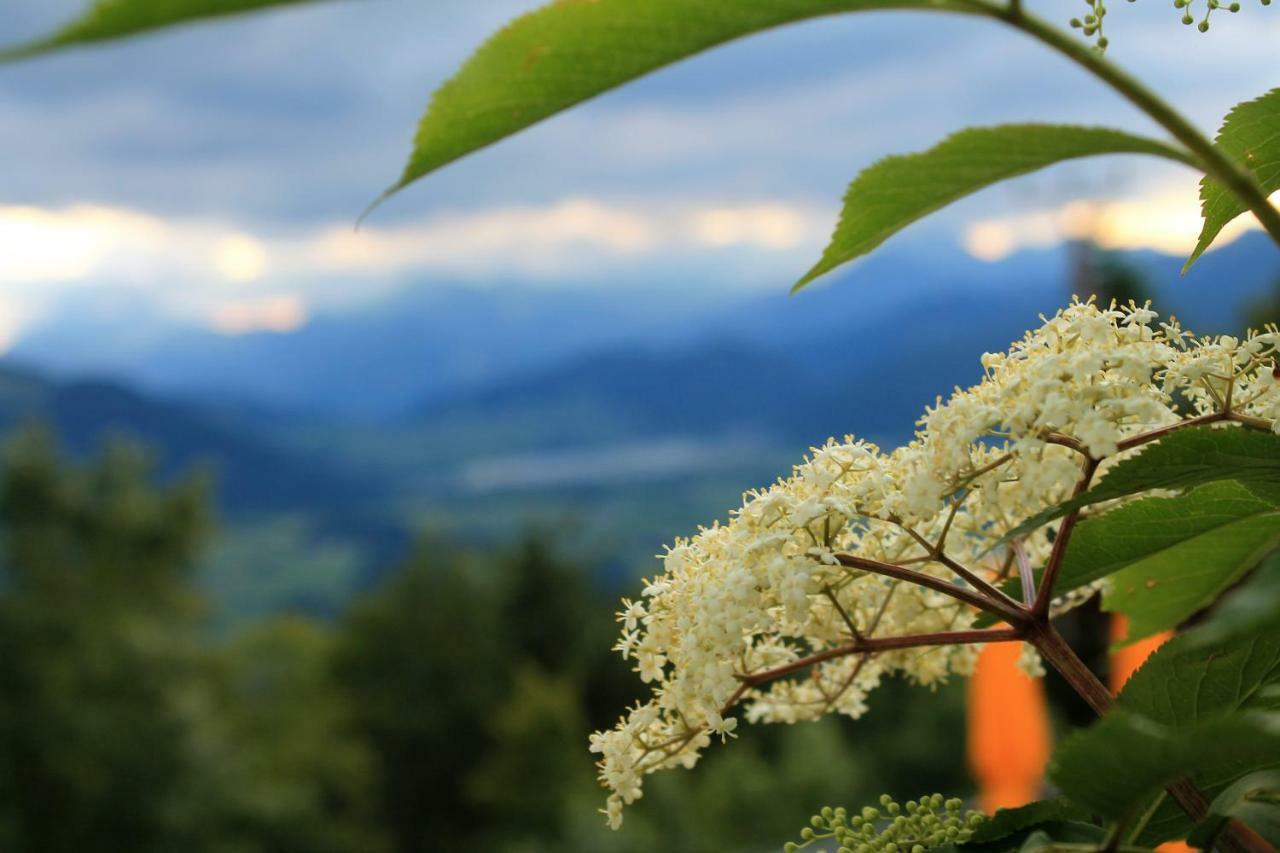 Scheibenwald Huette Villa Kössen Exteriör bild