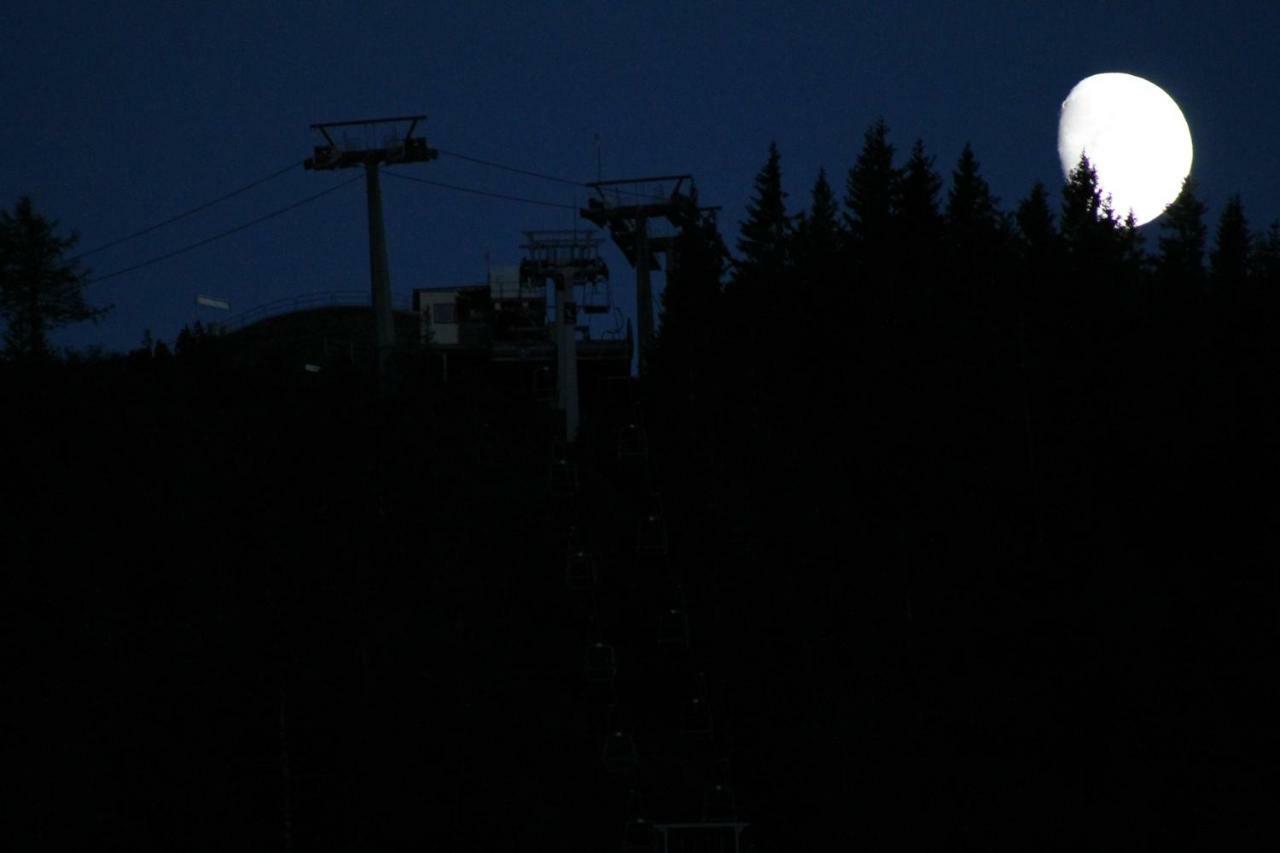 Scheibenwald Huette Villa Kössen Exteriör bild